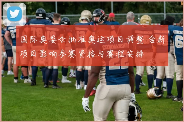 国际奥委会批准奥运项目调整 含新项目影响参赛资格与赛程安排