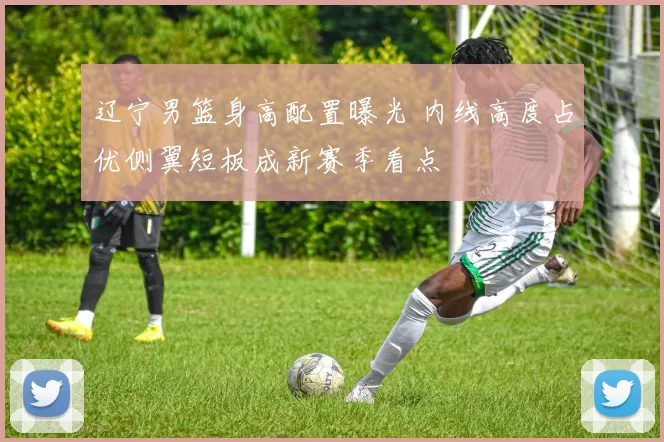 辽宁男篮身高配置曝光 内线高度占优侧翼短板成新赛季看点