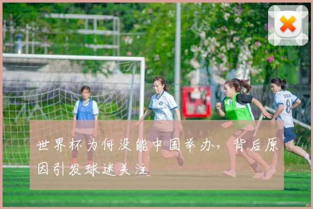 世界杯为何没能中国举办，背后原因引发球迷关注