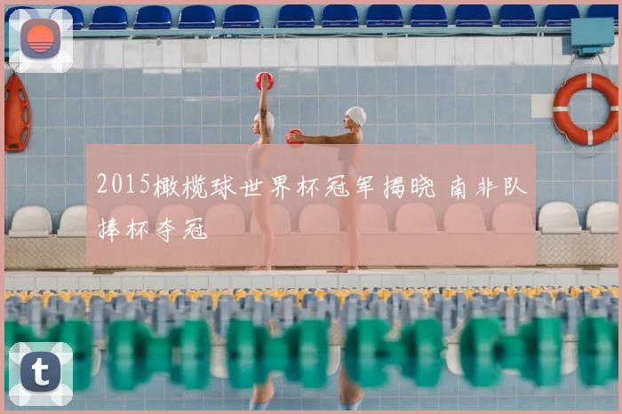 2015橄榄球世界杯冠军揭晓 南非队捧杯夺冠
