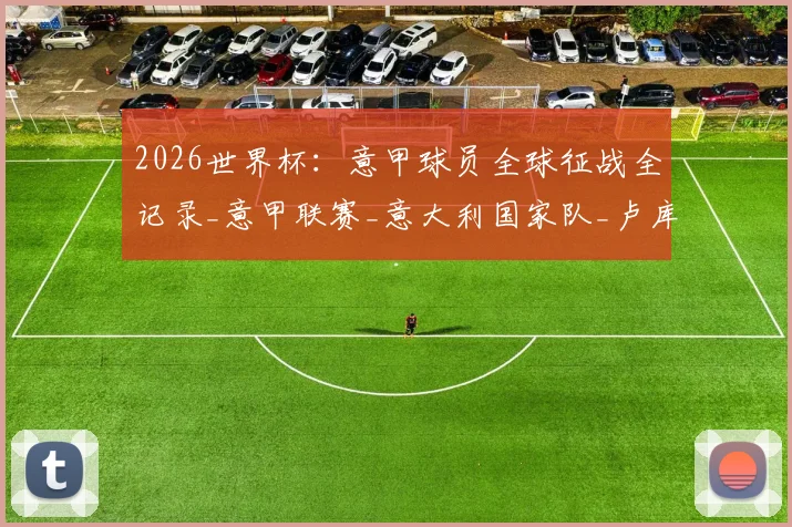 2026世界杯：意甲球员全球征战全记录_意甲联赛_意大利国家队_卢库