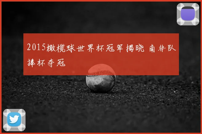 2015橄榄球世界杯冠军揭晓 南非队捧杯夺冠